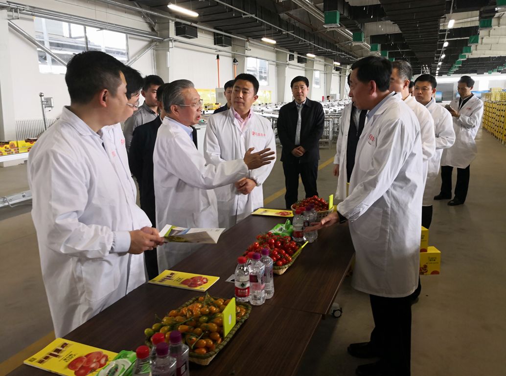 J9国际集团(中国)-官方网站