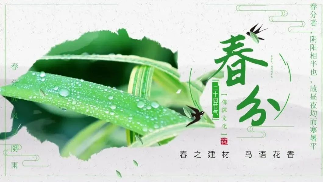 今日春分 | 春之建材，鸟语花香